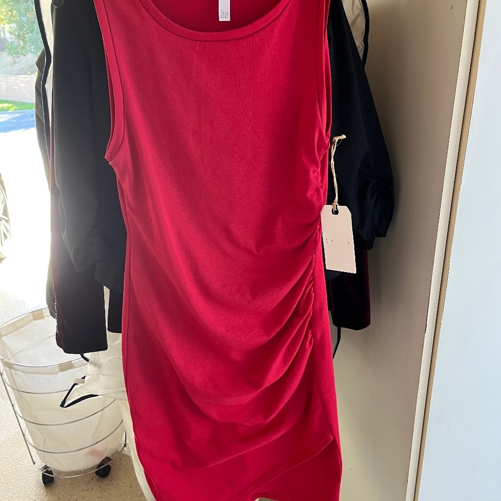Leith Ruched Fitted Dress (NWT) size small